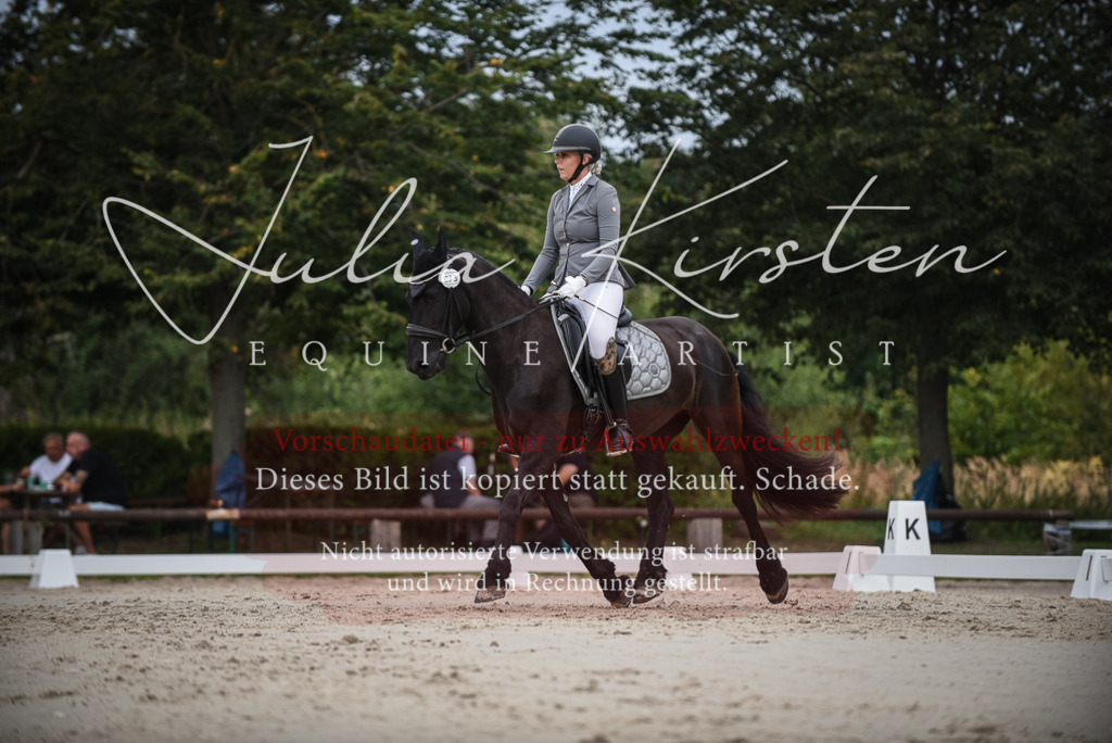 DSC_8309 | Pferde- und Turnierfotografie in Westsachsen. Pferdeportraits, Auftragszeichnungen und intuitive Kunst.