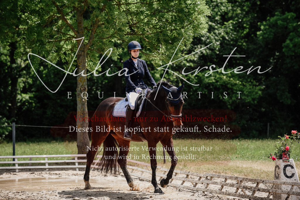 DSC_1475 | Pferde- und Turnierfotografie in Westsachsen. Pferdeportraits, Auftragszeichnungen und intuitive Kunst.