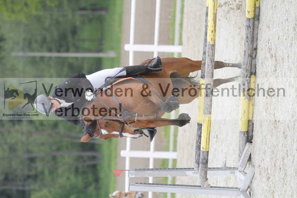 _MG_3566 | equestrian-live-com