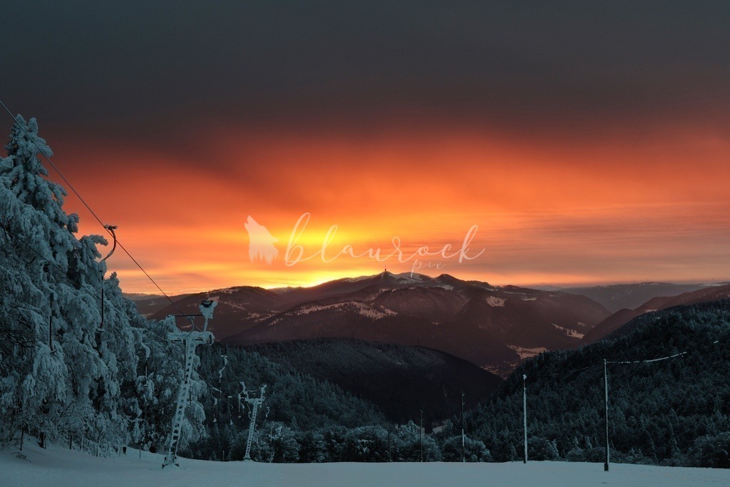 Natur_00004 | Sportbilder, Sportfotograf, Hochzeits- und Eventfotografin, Flugshows, Portraits und Tiershooting, Aviation, Downhill, Nationalleague, Swissleague, International