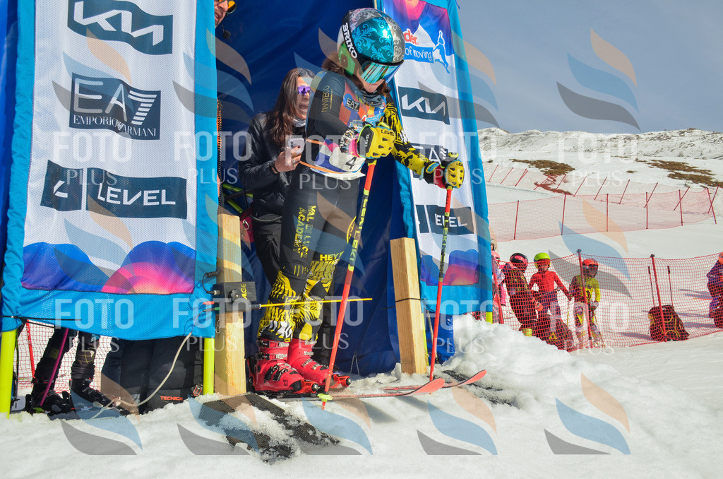 _ELE4399 | holidayphoto