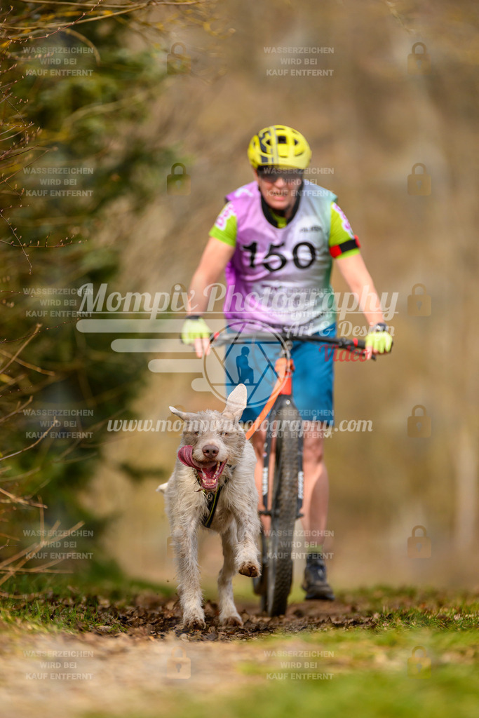 MompixPhotography_Schwabentrail2024_DS1-36 | PayLife