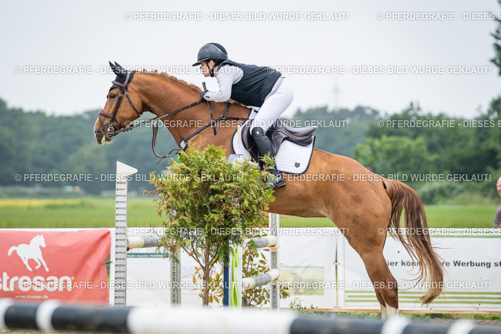 DSC02037 | Pferdegrafie