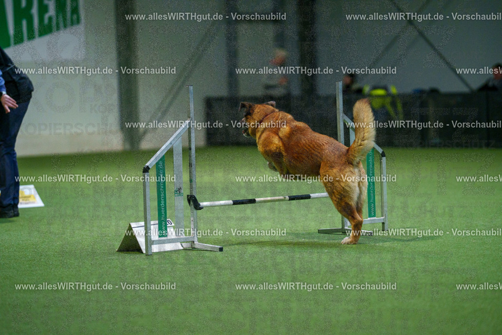 7R500672 | Professionelle Tierfotografie in Mönchengladbach von Daniel Wirth (allesWIRTHgut). Liebevolle & natürliche Bilder von Hunden & Katzen für unvergessliche Erinnerungen.