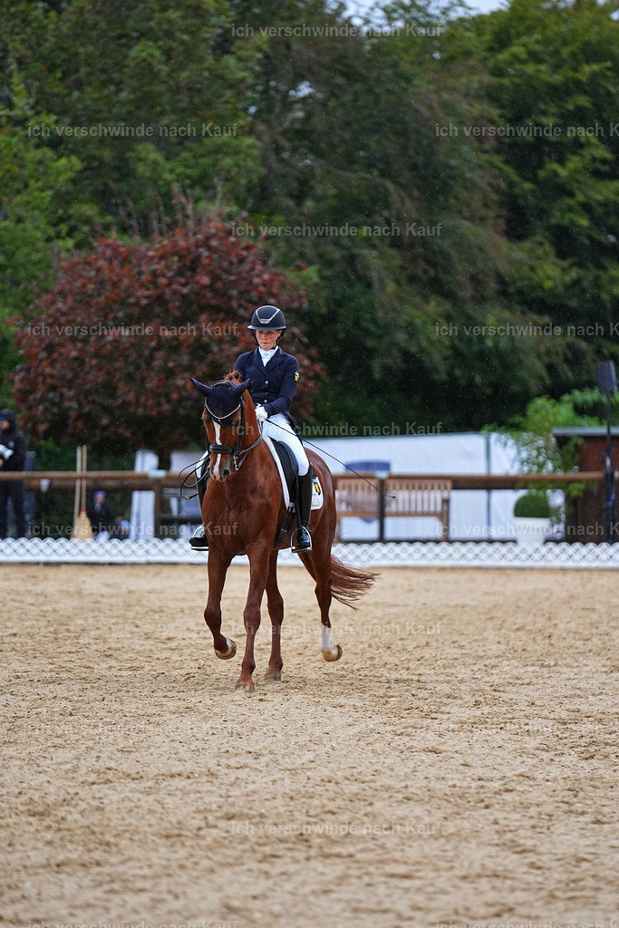8_1-223-Klasse S_  -Marixx-4280 | working equitationturnier fotograf videograf stoibphotography marixx film working equitation deutschland reitsport turnierfotografie eventfotografie equestrian events