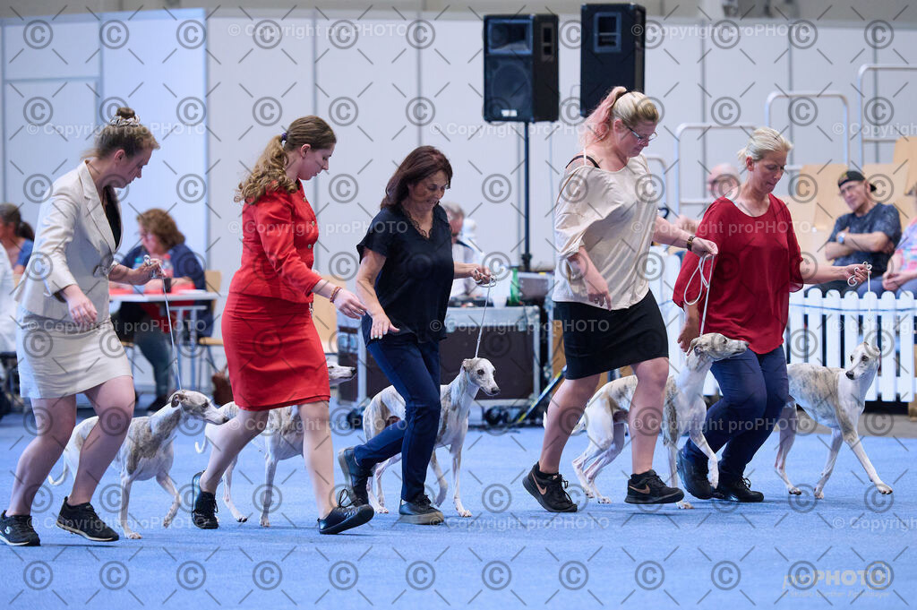 202406_ÖKV-IHA-Tulln24_DSC_3771 | proPHOTO - Realisiert mit Pictrs.com