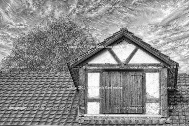 2022-04-29_FT-125_Oberkaufungen_DSC_0378_b-024_pe (Kopie) | titusgraphy-shop: Geschenkideen mit Qualitätsfotos. titusgraphy-shop: gift ideas with quality photos. titusgraphy-shop: idées cadeaux avec photos de qualité.  - Realisiert mit Pictrs.com