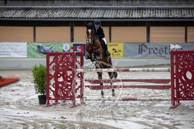 2B4A3448 | pixelfaenger - Realisiert mit Pictrs.com