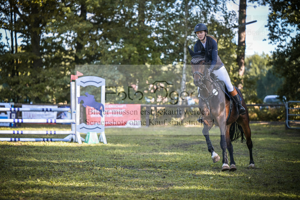 DOS_0454 | Entdecke hochwertige Reitturnierfotos von Foto Oger. Professionell, emotional und authentisch – jetzt Lieblingsmomente im Shop bestellen.Deutschlandweite Turnierfotografie. - Realisiert mit Pictrs.com