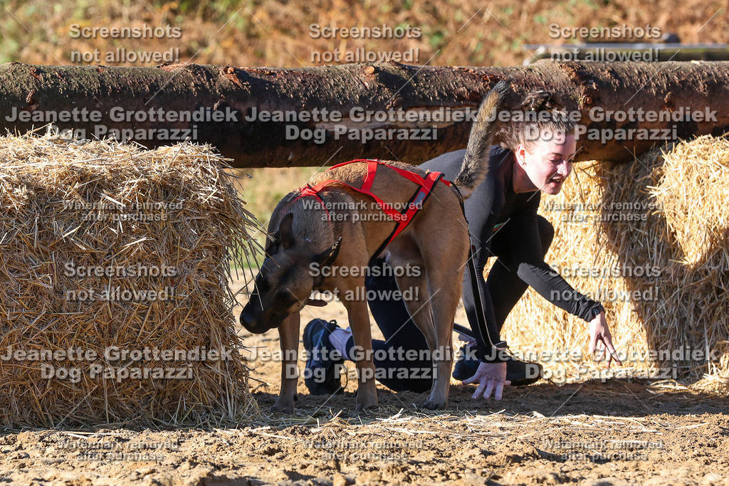 Dog Paparazzi - Strongdog 10-25-1589 | Dog Paparazzi Jeanette Grottendiek Fotografie & Videografie - Realisiert mit Pictrs.com