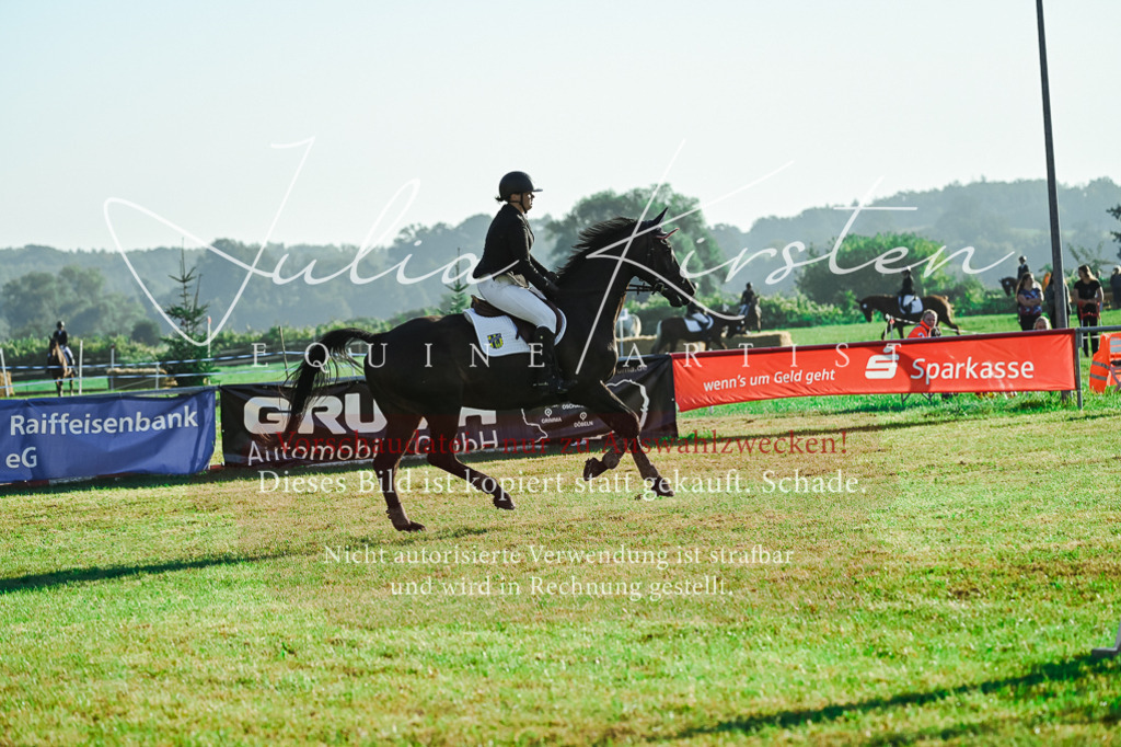 DSC_4376 | Pferde- und Turnierfotografie in Westsachsen. Pferdeportraits, Auftragszeichnungen und intuitive Kunst.