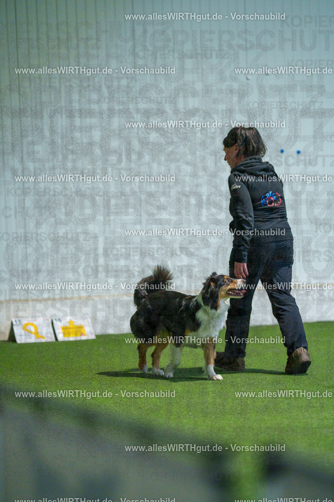 7R502025 | Professionelle Tierfotografie in Mönchengladbach von Daniel Wirth (allesWIRTHgut). Liebevolle & natürliche Bilder von Hunden & Katzen für unvergessliche Erinnerungen.