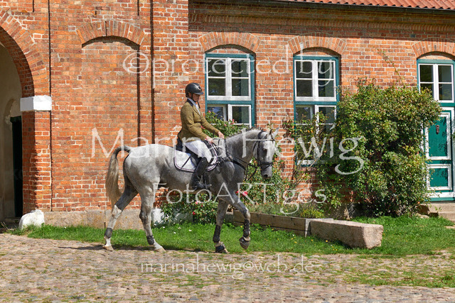 DSC01506_Marina Hewig | Fotografie, FotoArt, PferdesportArt, Pferdesportfotografie, Landschaftsfotografie, Reisefotografie, Reise, Pferde - Realisiert mit Pictrs.com