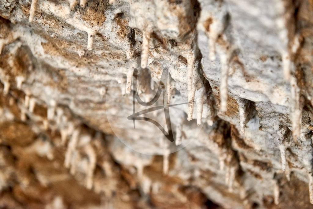 Osnabrückerland, Niedersachsen | Meurer Shop - Realisiert mit Pictrs.com