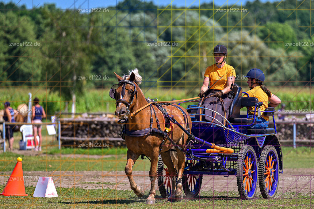 30 Jahre RFV Pulsnitz e.V., Pulsnitz am 09.08.2026 | Zur 28. breitensportlichen Veranstaltung des RFV Pulsnitz e.V. fanden verschiedene Wettbewerbe in nahezu allen Disziplinen des Pferdesport statt. - 18 Kegel-Fahr-Wettbewerb - Realisiert mit Pictrs.com