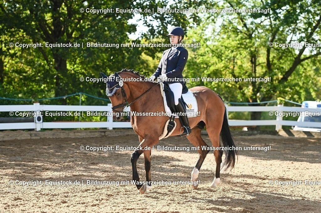 20230715_06_Dressurpferdeprfg. Kl.A_0191 | equistock