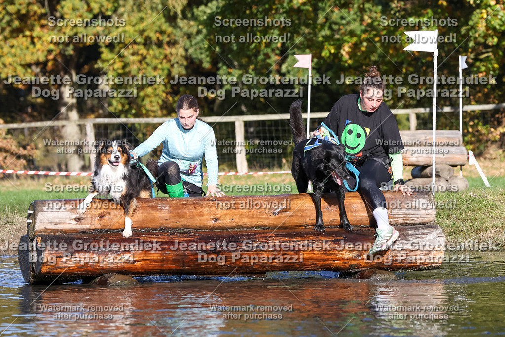 Dog Paparazzi - Strongdog 10-25-8839 | Dog Paparazzi Jeanette Grottendiek Fotografie & Videografie - Realisiert mit Pictrs.com