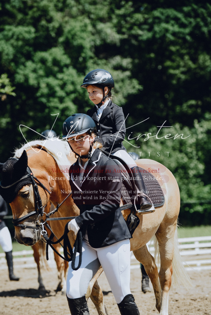 DSC_2580 | Pferde- und Turnierfotografie in Westsachsen. Pferdeportraits, Auftragszeichnungen und intuitive Kunst.
