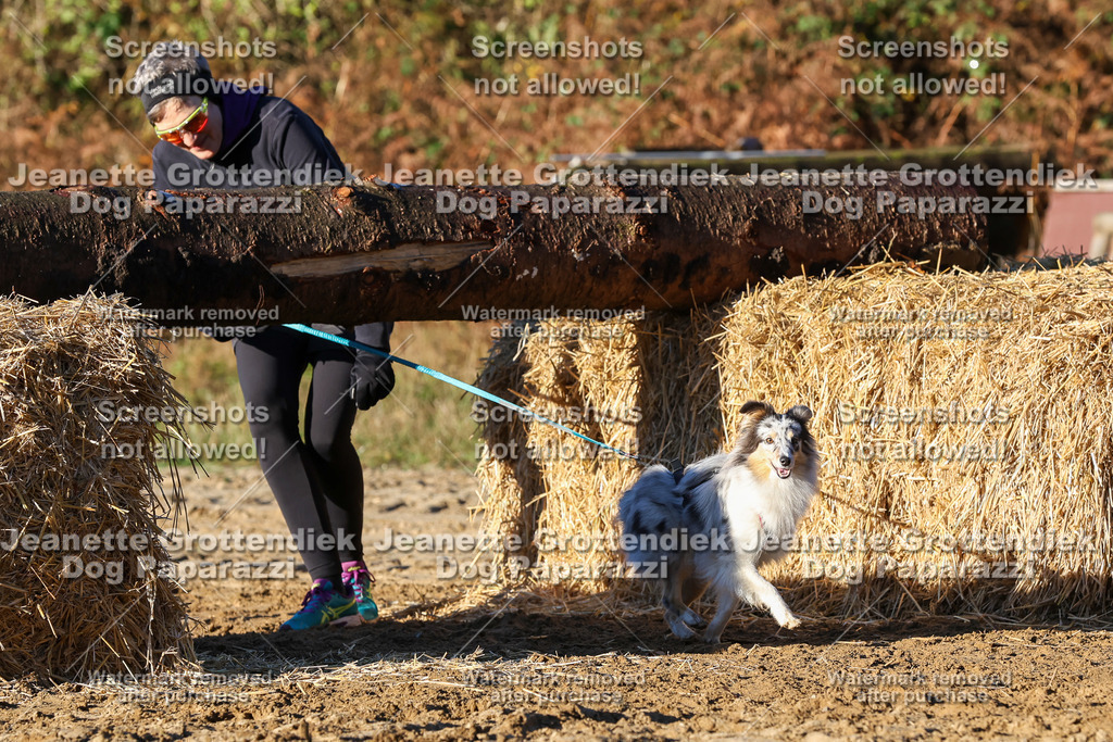 Dog Paparazzi - Strongdog 10-25-1201 | Dog Paparazzi Jeanette Grottendiek Fotografie & Videografie - Realisiert mit Pictrs.com