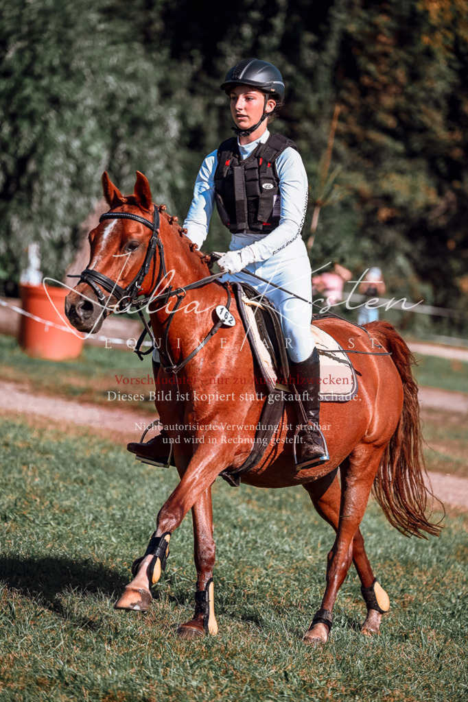 DSC_0890 | Pferde- und Turnierfotografie in Westsachsen. Pferdeportraits, Auftragszeichnungen und intuitive Kunst.