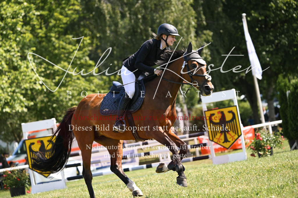 DSC_8911 | Pferde- und Turnierfotografie in Westsachsen. Pferdeportraits, Auftragszeichnungen und intuitive Kunst.