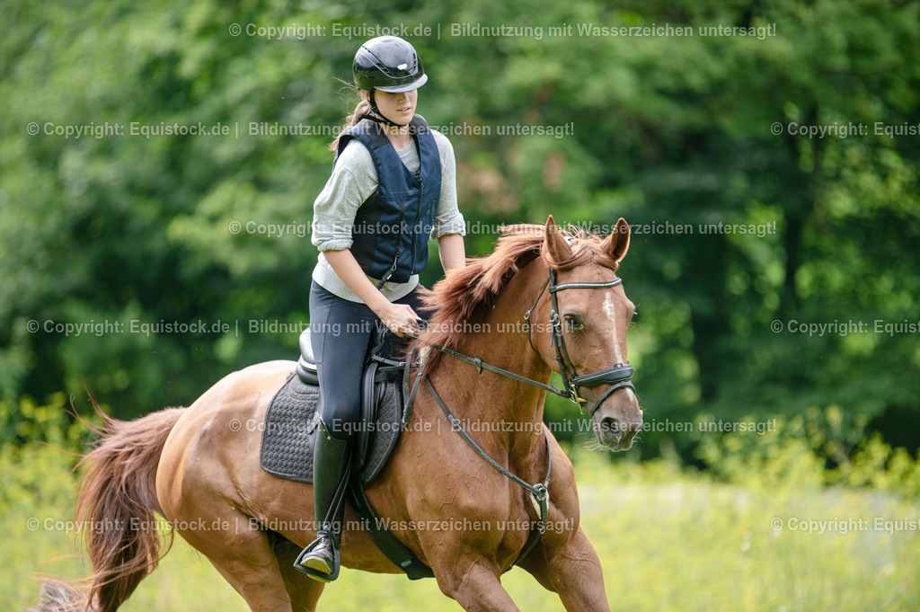 20250725_Vielseitigkeitslehrgang-Marbach_0334 | Foto: Thomas Hartig