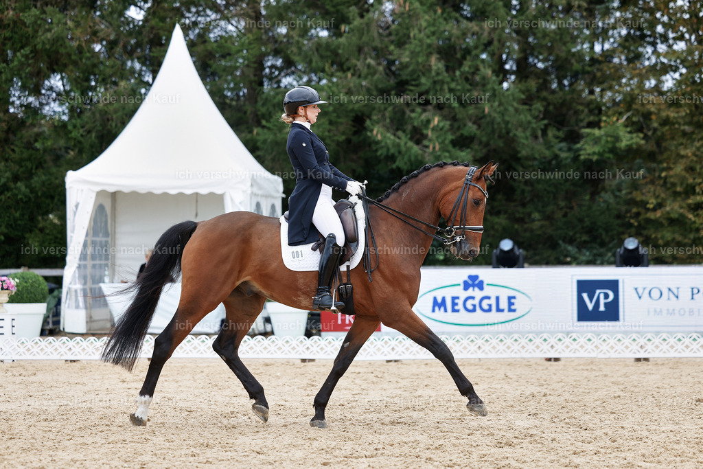 6-001-AMATUER-DRESSUR S_  -StoibPH-3547 | working equitationturnier fotograf videograf stoibphotography marixx film working equitation deutschland reitsport turnierfotografie eventfotografie equestrian events