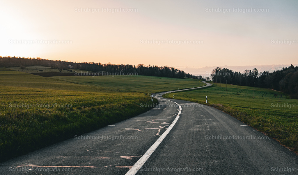 Landstrasse | Landstrasse durch Felder und Wiesen - Realisiert mit Pictrs.com