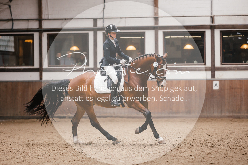 3I6A7357 | Stimmungsvolle Portraits und Reitsportfotografie im Ruhrgebiet und im Münsterland.

Pferdefotografie, Hundefotografie, Tierfotografie, Reportagen, Portraits von Tier und Mensch, Turnierfotografie in Bochum, Recklinghausen, Marl, Haltern am See, Dülmen.. - Realisiert mit Pictrs.com