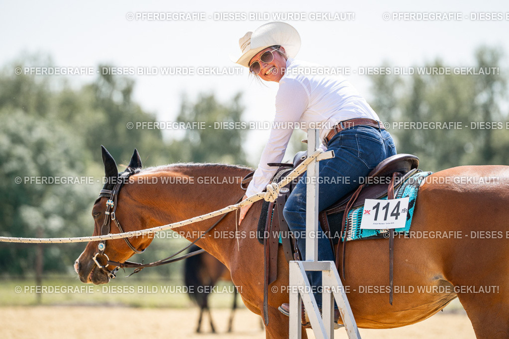 DSC00510 | Pferdegrafie