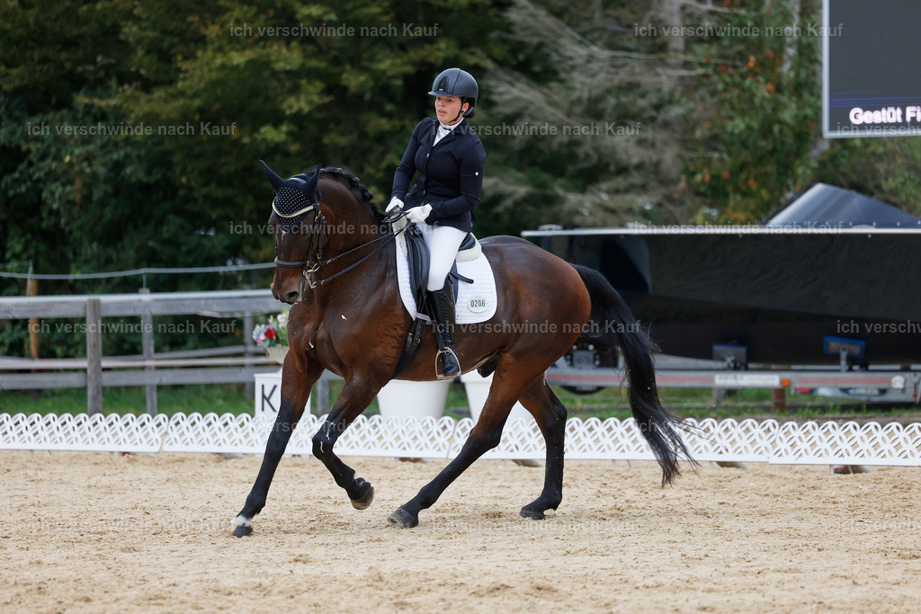 04_2-206-Dressur M__ -StoibPH-2927 | working equitationturnier fotograf videograf stoibphotography marixx film working equitation deutschland reitsport turnierfotografie eventfotografie equestrian events