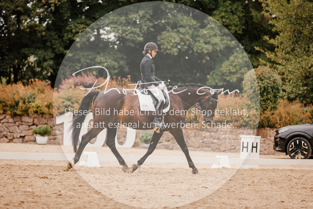 3I6A5852 | Stimmungsvolle Portraits und Reitsportfotografie im Ruhrgebiet und im Münsterland.

Pferdefotografie, Hundefotografie, Tierfotografie, Reportagen, Portraits von Tier und Mensch, Turnierfotografie in Bochum, Recklinghausen, Marl, Haltern am See, Dülmen.. - Realisiert mit Pictrs.com