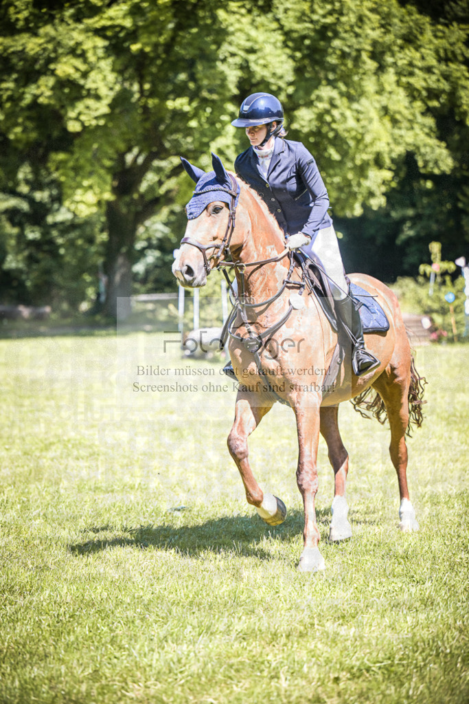 DOS_3609 | Entdecke hochwertige Reitturnierfotos von Foto Oger. Professionell, emotional und authentisch – jetzt Lieblingsmomente im Shop bestellen.Deutschlandweite Turnierfotografie. - Realisiert mit Pictrs.com