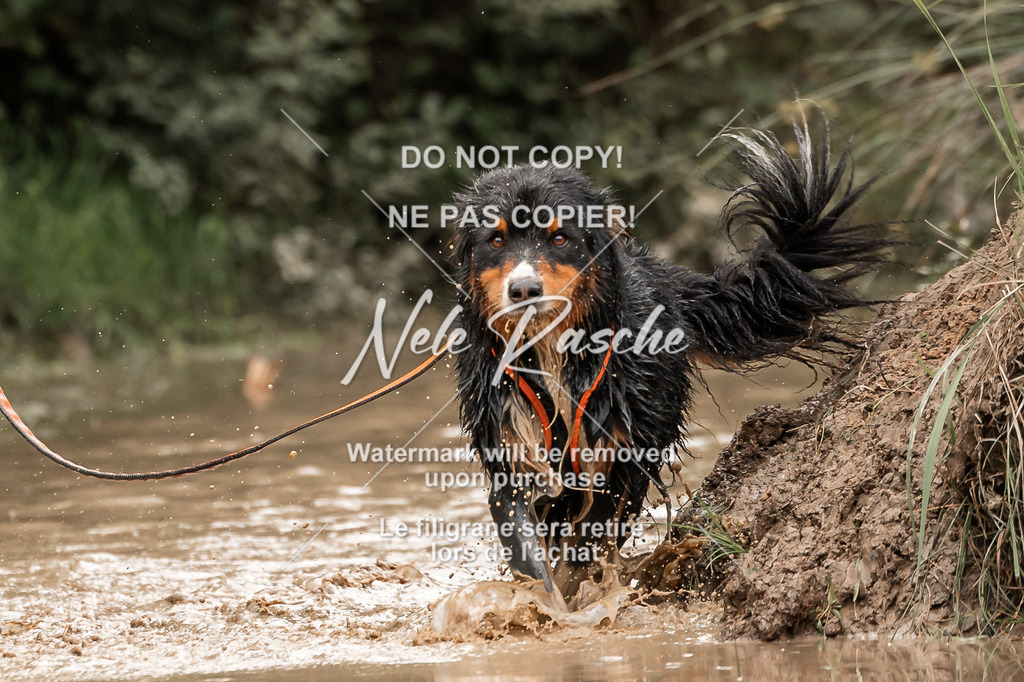 nelerasche_Hoope2026_So1000-1030_428 | nelerasche