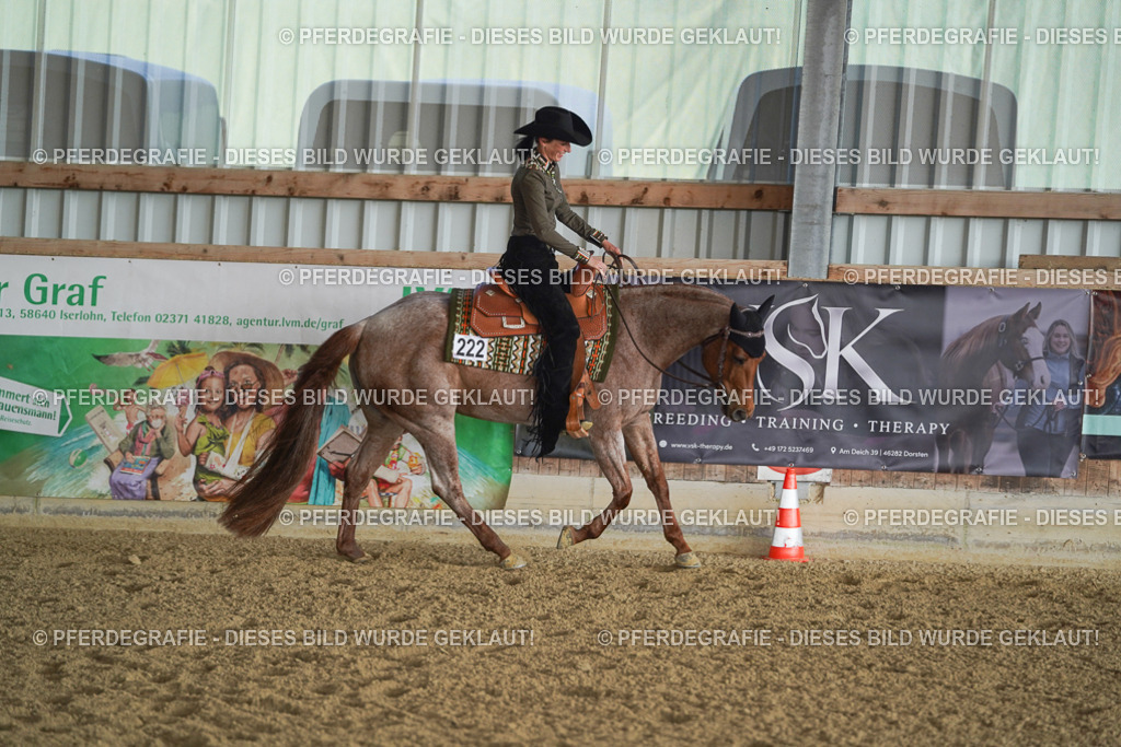 DSC09167 | Pferdegrafie