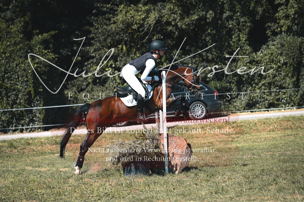 DSC_8286 | Pferde- und Turnierfotografie in Westsachsen. Pferdeportraits, Auftragszeichnungen und intuitive Kunst.
