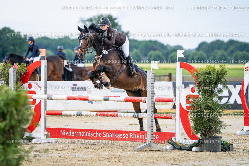 DSC03454 | Pferdegrafie