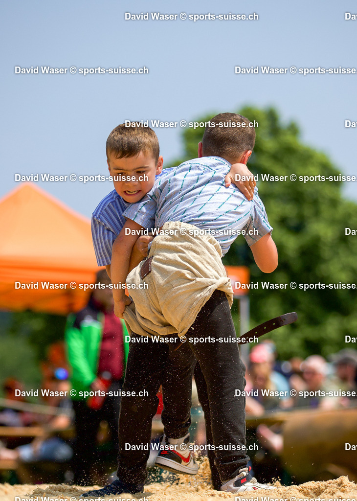 Finale 2016-2017 Steiner Silvan (2016) - Steiner Fabian (2016)  _ la 17. Schwingertag Laupen Laupen_ 09.06.2025 (1) | Finale 2016-2017 Steiner Silvan (2016) - Steiner Fabian (2016)  à la 17. Schwingertag Laupen Laupen, 09.06.2025