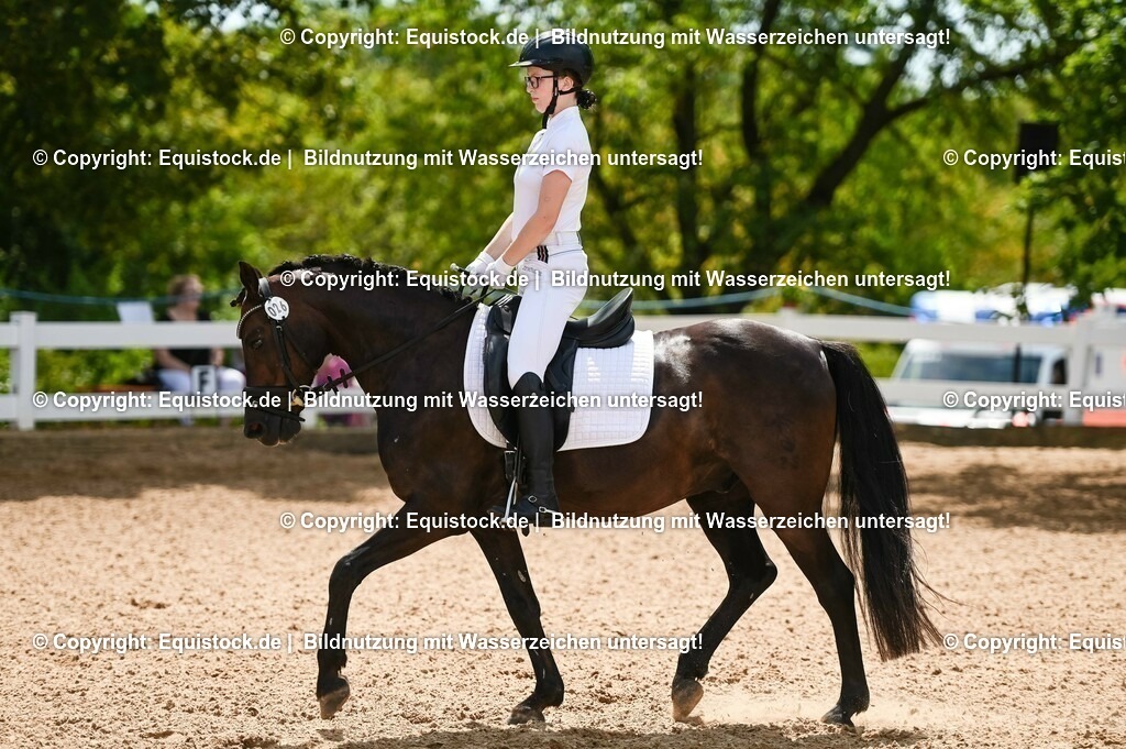 20230715_09_Dressur-WB_0223 | equistock