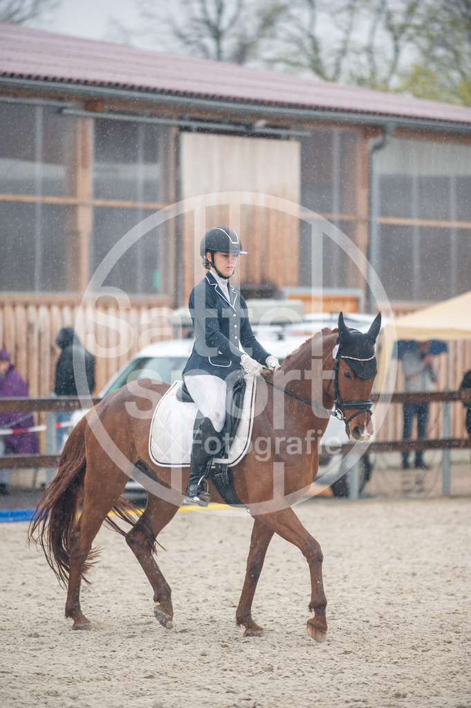 DSC_7446 | sattelsport - Realisiert mit Pictrs.com