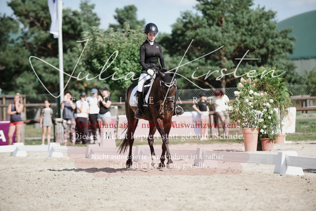 DSC_9911 | Pferde- und Turnierfotografie in Westsachsen. Pferdeportraits, Auftragszeichnungen und intuitive Kunst.