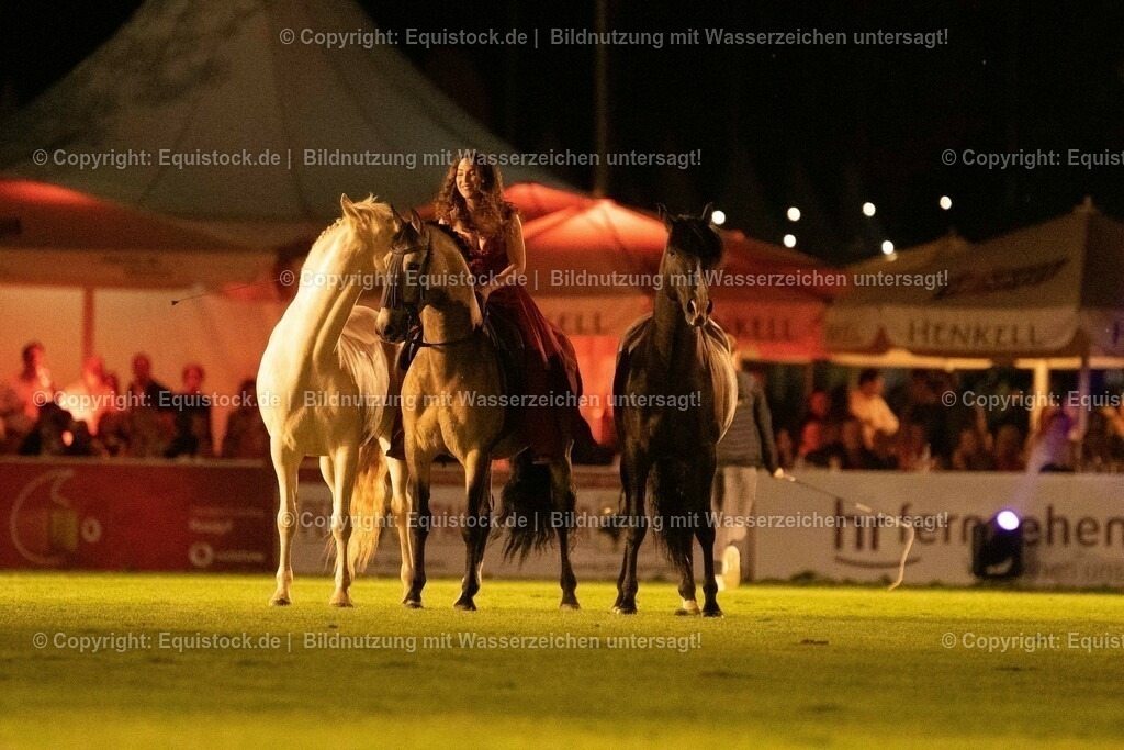 20230526_Pferdenacht_1503 | equistock
