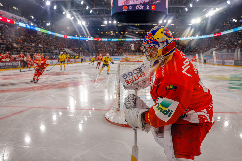 EHCB vs SCB 20260110_wb-3471 | Sportbilder, Sportfotograf, Hochzeits- und Eventfotografin, Flugshows, Portraits und Tiershooting, Aviation, Downhill, Nationalleague, Swissleague, International