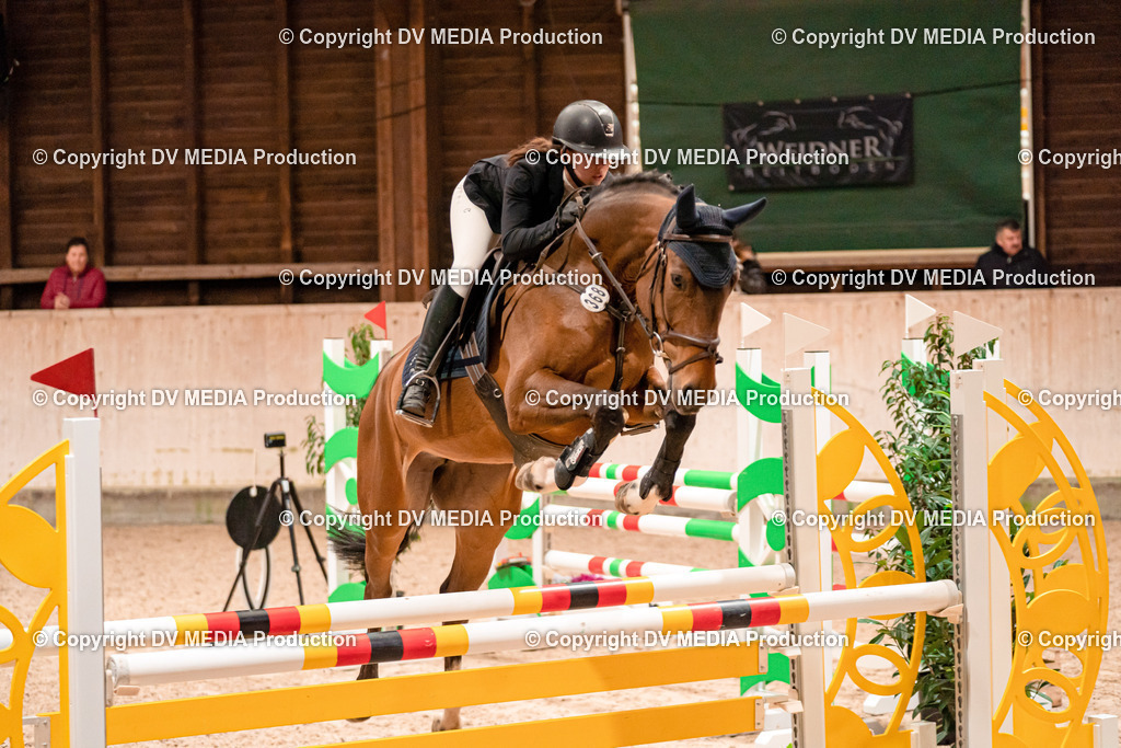 Springen Tag 1-381 | dv-media-shop - Realisiert mit Pictrs.com