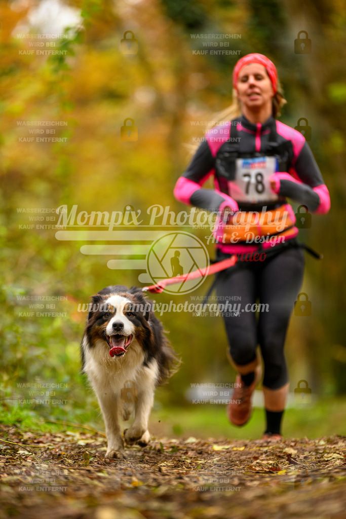 MompixPhotography_Bischwiller24_SA_Canicross-133 | mompixphotography