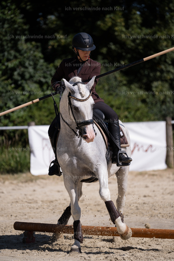 WM_ST_133_stoibphotography_SO10439 | working equitationturnier fotograf videograf stoibphotography marixx film working equitation deutschland reitsport turnierfotografie eventfotografie equestrian events