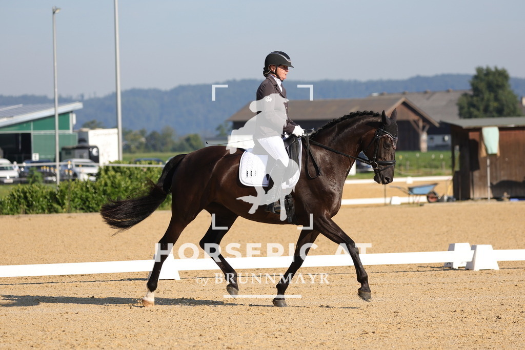 0P6A8646 | Willkommen bei Brunnmayr - Design & Fotografie – Ihrem Spezialisten für Reitturniere und Pferdeveranstaltungen in Oberösterreich, Salzburg und Bayern! Seit über 17 Jahren sind wir leidenschaftlich dabei.