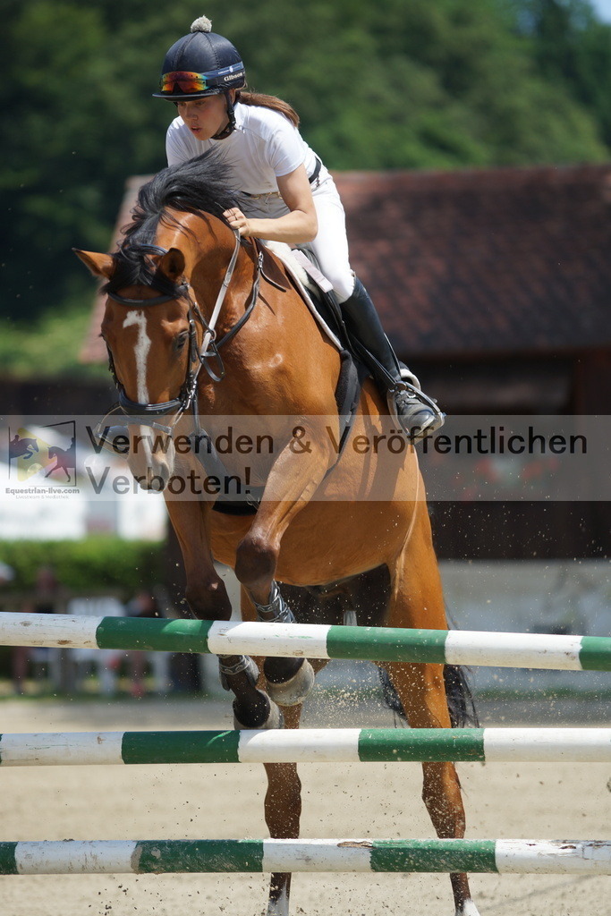 DSC00607 | equestrian-live-com