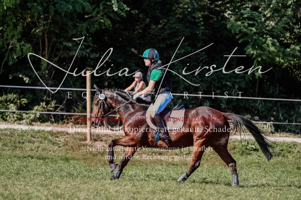 DSC_3624 | Pferde- und Turnierfotografie in Westsachsen. Pferdeportraits, Auftragszeichnungen und intuitive Kunst.