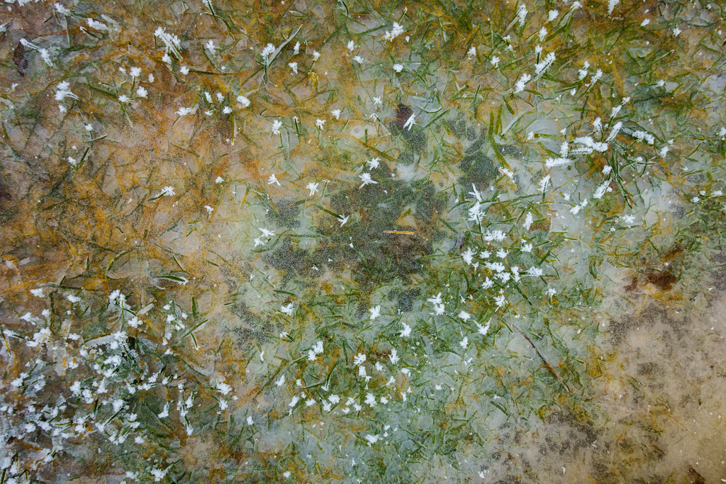 DSC02476 | ap-design // andreas plenk - Realisiert mit Pictrs.com